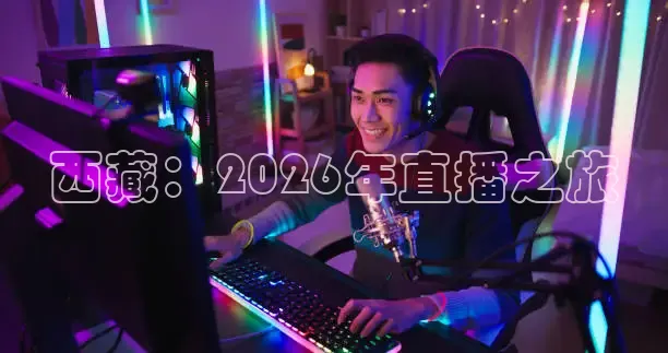 蜘蛛nba直播